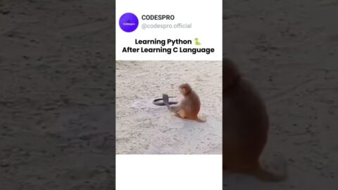 Learn python after learning C language 😂  #python #c #programming  #coding #development #memes
