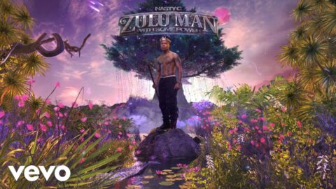 Nasty C, T.I. – All In (Visualizer)