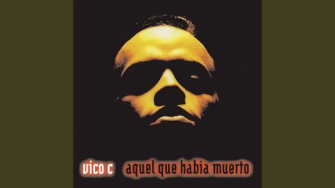 Dandote Vida